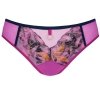 Gorsenia Figi brazyliany Cassie 725 multicolor